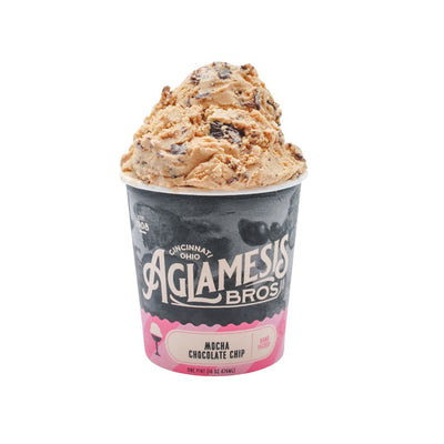 Mocha Chip Ice Cream