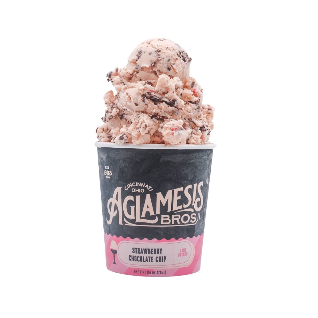Strawberry Chocolate Chip Ice Cream