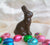 Classic Chocolate Bunny